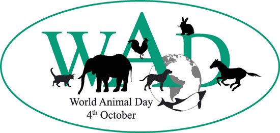 Защитники природы отмечают Всемирный день животных