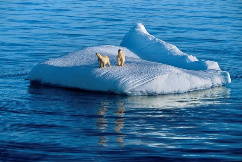 Поиски устойчивого льда