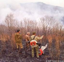 Пожары на Земле Леопарда: одни безнаказанно поджигают, другие героически тушат