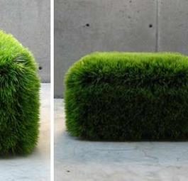Зеленая трава вокруг нас. Идеи для дизайна.