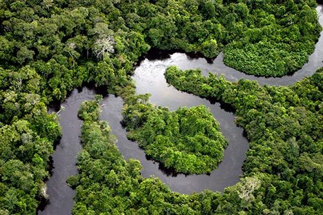 Могут ли тропические леса порождать дождь?