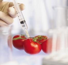 ГМО. Только сухие факты и ничего больше