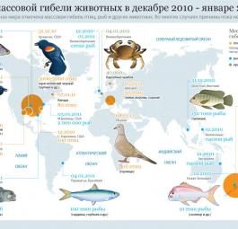 Мировая карта мест массовой гибели животных в декабре 2010 - январе 2011 гг.