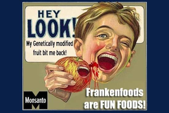 ГМО: Зачем нужен общественный экологический контроль?