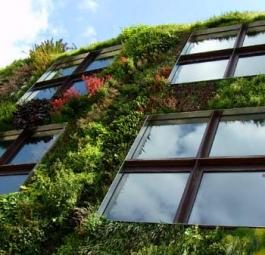 Экодизайн: Вертикальные живые сады Патрика Бланка