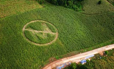 ГМО: Зачем нужен общественный экологический контроль?