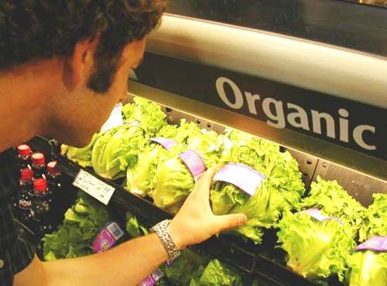Органические продукты питания: здоровье или кошелек?