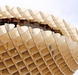В Севилье открыта самая большая в мире конструкция из дерева