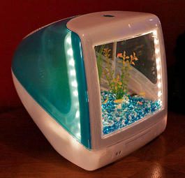 Пузыреобразные яркие компьютеры iMac становятся стильными аквариумами Macquarium