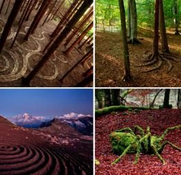 Широкомасштабное экологическое искусство: примеры творений