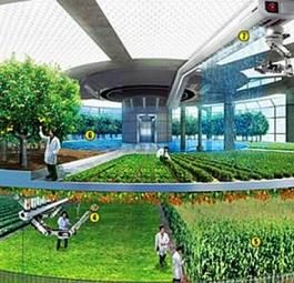 Новые технологии в экологичном строительстве: От подводного небоскреба до вертикальных ферм
