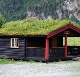 Красивые норвежские зеленые крыши