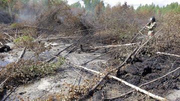 Число природных пожаров в Подмосковье в 2011 году сократилось в 4 раза