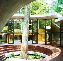 Органический дом-раковина вокруг столетней ели в Японии