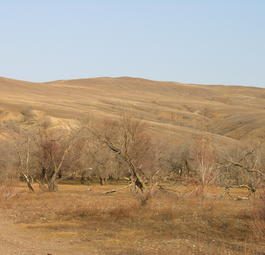В Забайкальском крае созданы два комплексных заказника