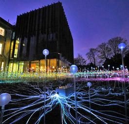 Поле света: Восхитительная светодиодная инсталляция Брюса Манро в Мельбурне