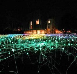 Поле света: Восхитительная светодиодная инсталляция Брюса Манро в Мельбурне
