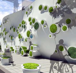 Зеленая симбиотическая стена в городе