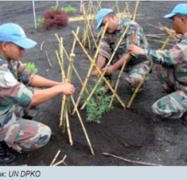 Ежегодник ООН 2010: Бедствия и конфликты, повлиявшие на окружающую среду