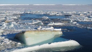Ученые определят вклад антарктического ледника в повышение уровня моря