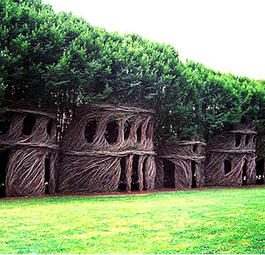Сногсшибательные дома-гнезда из живых деревьев Патрика Доуэрти