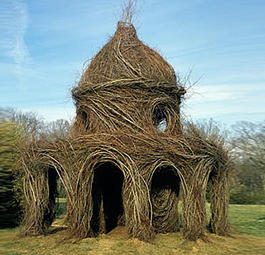 Сногсшибательные дома-гнезда из живых деревьев Патрика Доуэрти