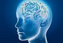 10 интересных фактов о человеческом мозге
