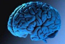 14 способов улучшить работу мозга