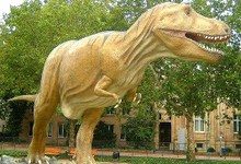 Американские ученые собираются воскресить динозавров