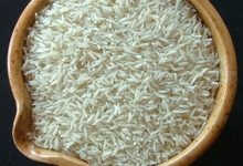 В генетическом материале риса нашли защитные гены