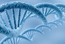 Открыты седьмое и восьмое основания ДНК