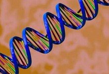 Ученые выявили гены заикания