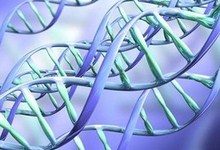 Ученым удалось изменить генетический код